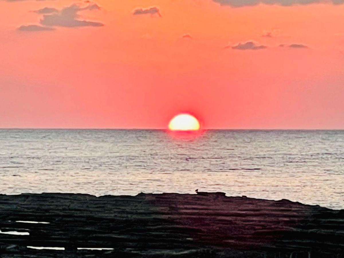 皆様お宿　海風 Shirahama Exteriör bild